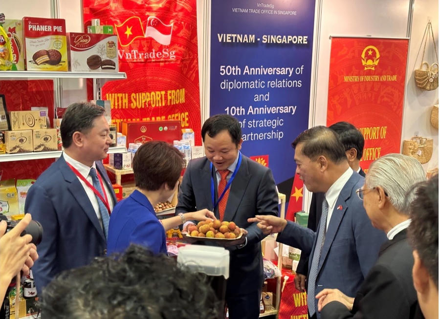 Kim ngạch thương mại song phương Việt Nam Singapore đạt mức kỷ lục mới