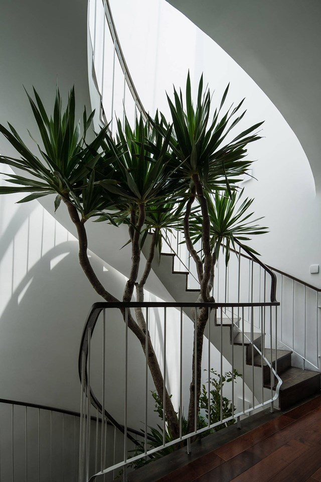 C&acirc;y cối được lựa chọn kỹ lưỡng&nbsp;vừa đảm bảo t&iacute;nh thẩm mỹ vừa c&oacute; t&aacute;c dụng l&agrave;m m&aacute;t, giảm nhiệt cho c&aacute;c kh&ocirc;ng gian trong nh&agrave;.