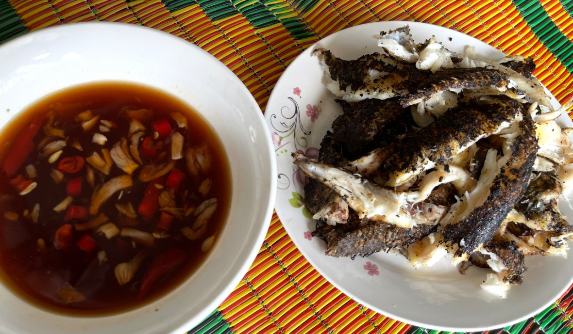 Cá tràu nướng - Vị quê dân dã của xứ Nghệ Cá tràu nướng - Vị quê dân dã của xứ Nghệ