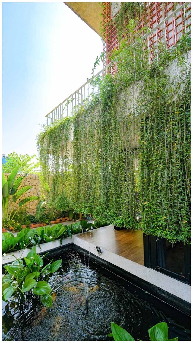 "Ngôi nhà nhiệt đới" tràn ngập ánh sáng giữa lòng Nha Trang - Ảnh 1