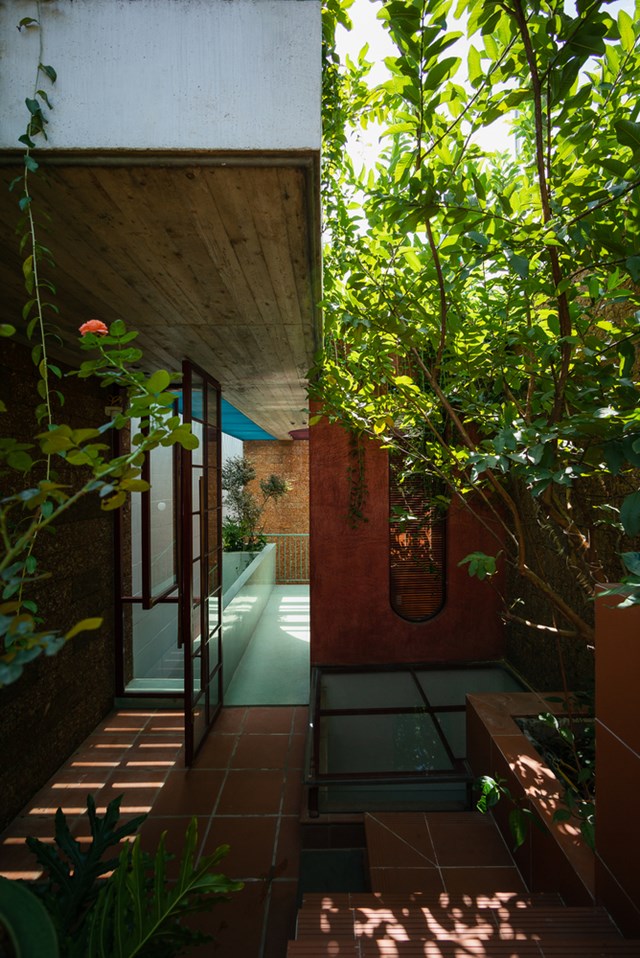 C&acirc;y xanh được bố tr&iacute; b&ecirc;n trong gi&uacute;p ng&ocirc;i nh&agrave; trở n&ecirc;n tươi m&aacute;t hơn.