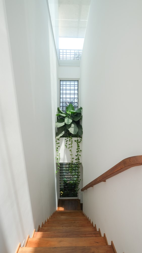 Giếng trời v&agrave; c&acirc;y xanh được bố tr&iacute; ph&iacute;a tr&ecirc;n cầu thang gỗ dẫn l&ecirc;n tầng 2.