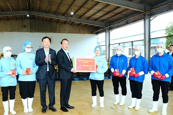 Lãnh đạo tỉnh Ninh Bình thăm, kiểm tra, động viên sản xuất đầu Xuân Bính Ngọ