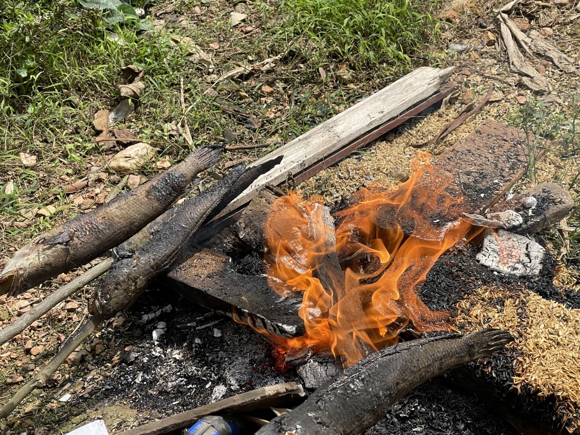 Cá tràu nướng - Vị quê dân dã của xứ Nghệ Cá tràu nướng - Vị quê dân dã của xứ Nghệ