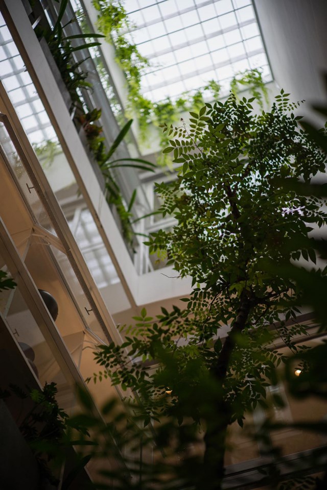 Giếng trời rộng giữa nh&agrave; vừa gi&uacute;p lấy s&aacute;ng vừa hỗ trợ lưu th&ocirc;ng kh&ocirc;ng kh&iacute; cho từng kh&ocirc;ng gian.