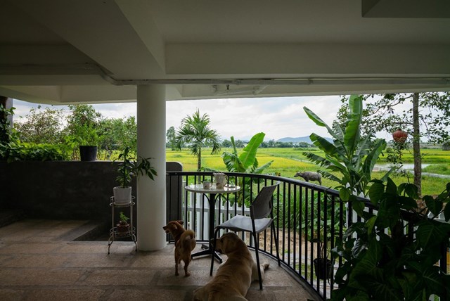 Tầng trệt bỏ trống được tận dụng l&agrave;m nơi để xe. Đ&acirc;y cũng l&agrave; một nơi l&yacute; tưởng để thư gi&atilde;n, nh&acirc;m nhi một t&aacute;ch cafe v&agrave; ngắm nh&igrave;n phong cảnh b&igrave;nh lặng của qu&ecirc; hương.