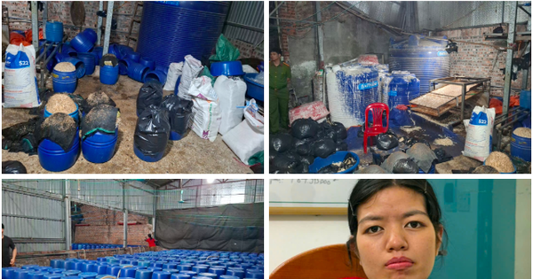 Khởi tố đối tượng sử dụng hóa chất độc hại sản xuất hơn 500 tấn giá đỗ tung ra thị trường