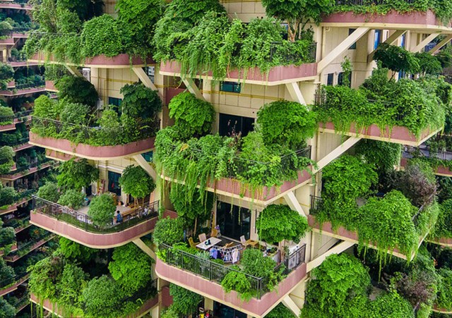 Theo Global times, chỉ c&oacute; khoảng 10 gia đ&igrave;nh vẫn bất chấp muỗi m&agrave; b&aacute;m trụ lại nơi n&agrave;y. Tuy nhi&ecirc;n, những người ở lại đ&atilde; cố gắng cắt tỉa c&acirc;y cối, sắp xếp để tạo kh&ocirc;ng gian tho&aacute;ng đ&atilde;ng hơn.&nbsp;