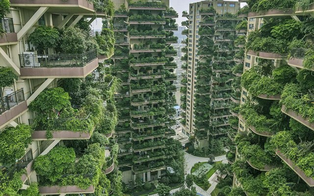 Kh&ocirc;ng thể phủ nhận, c&acirc;y xanh kh&ocirc;ng chỉ c&oacute; t&aacute;c dụng trang tr&iacute; m&agrave; c&ograve;n khiến kh&ocirc;ng gian sống trở n&ecirc;n tho&aacute;ng đ&atilde;ng, trong l&agrave;nh hơn. Điều n&agrave;y c&agrave;ng cần thiết hơn với những t&ograve;a chung cư.