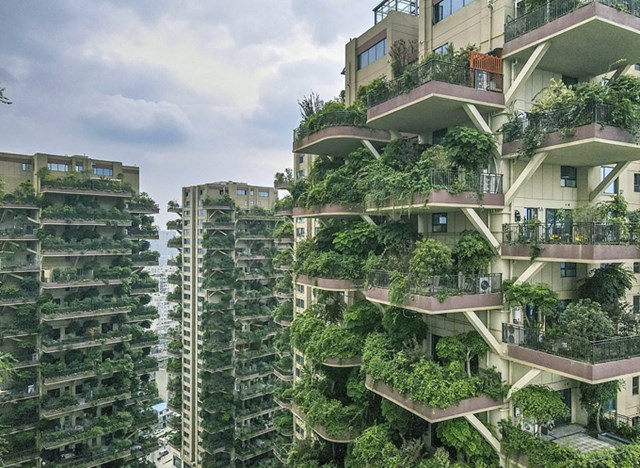 Tr&ecirc;n ban c&ocirc;ng của mỗi căn hộ đều được thiết kế khoảng s&acirc;n rộng, trồng nhiều c&acirc;y cảnh được tỉa gọn g&agrave;ng.&nbsp;