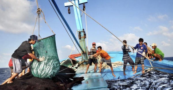 Gỡ vướng pháp lý cho ngành thủy sản xuất khẩu