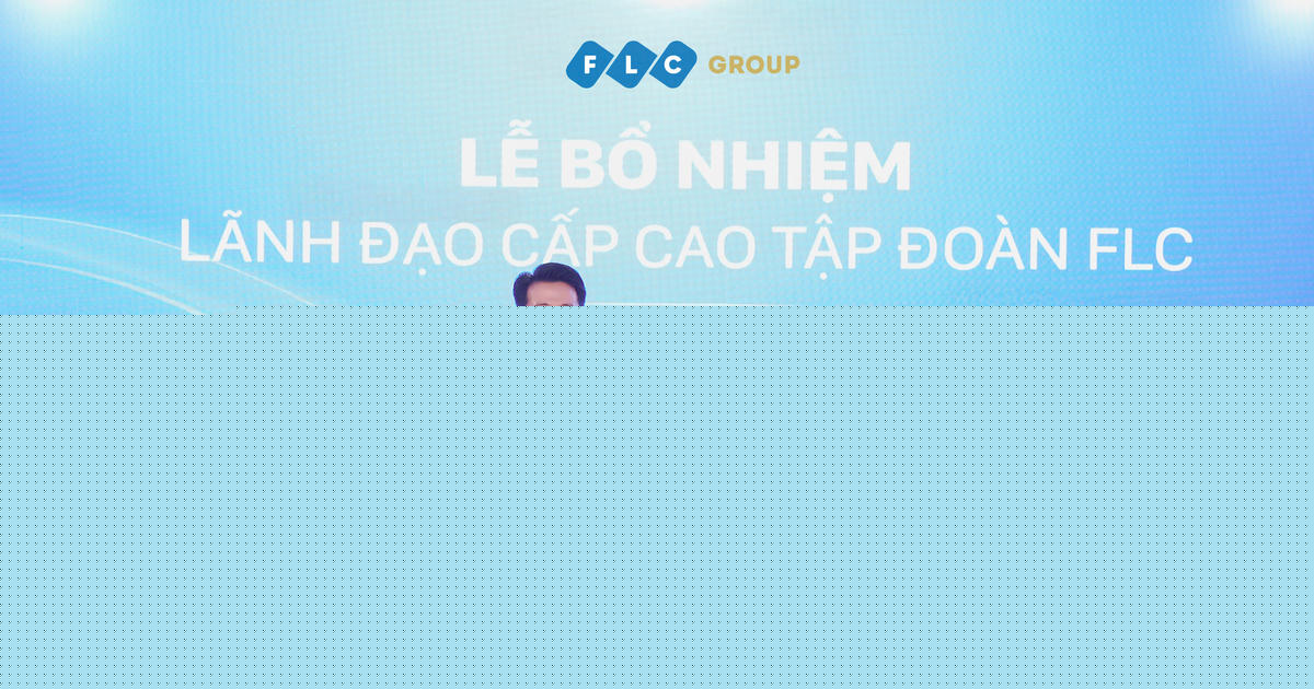 Tập đoàn FLC có tân Tổng Giám đốc sinh năm 1991