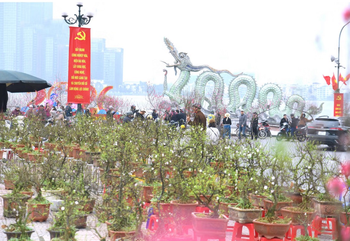 Hà Nội khúc giao mùa đón Xuân: Khi màu hoa hoà cùng sắc Tết
