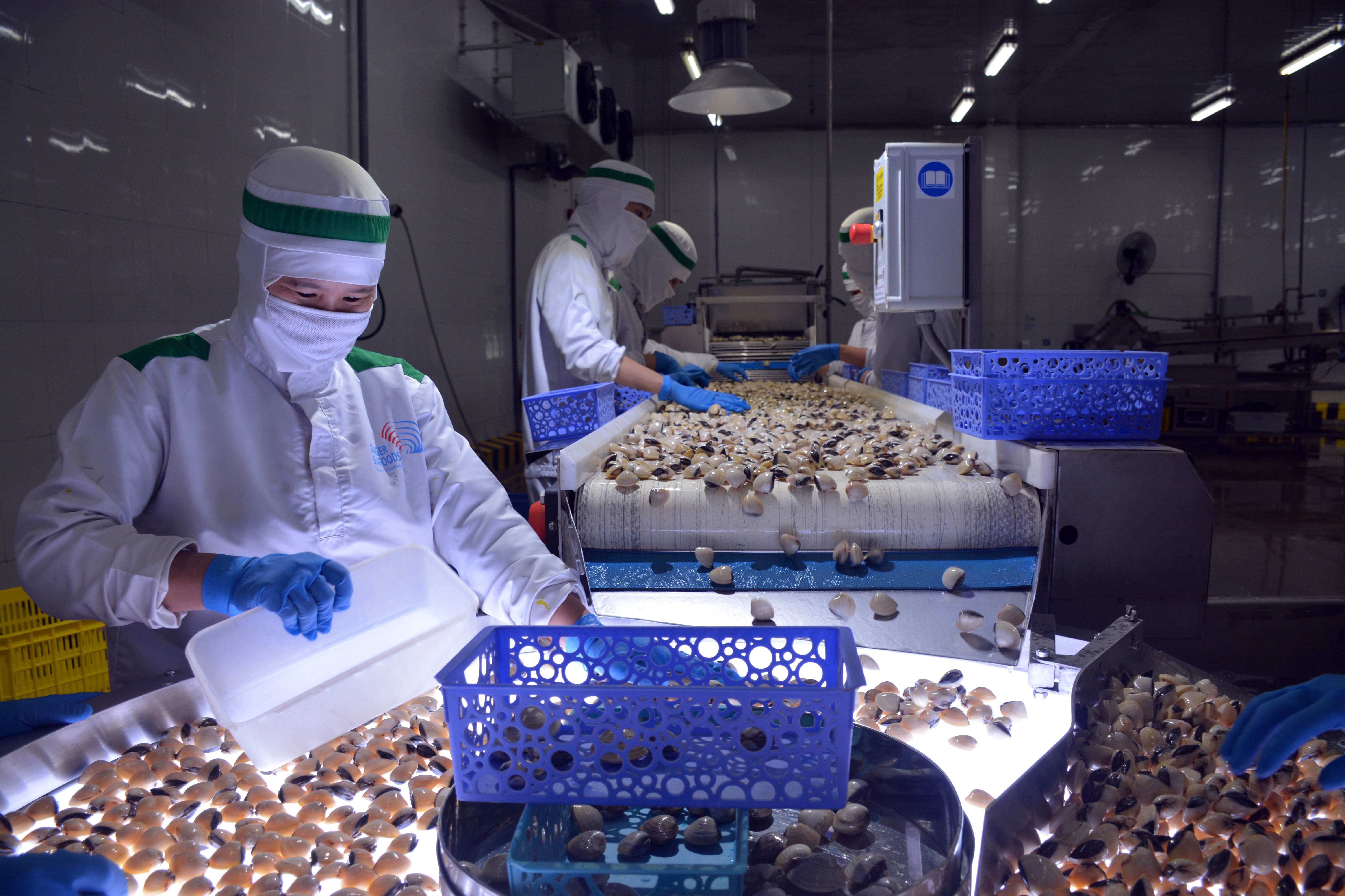 Giá lúa gạo hôm nay 25/10: Giá gạo nguyên liệu giảm trở lại