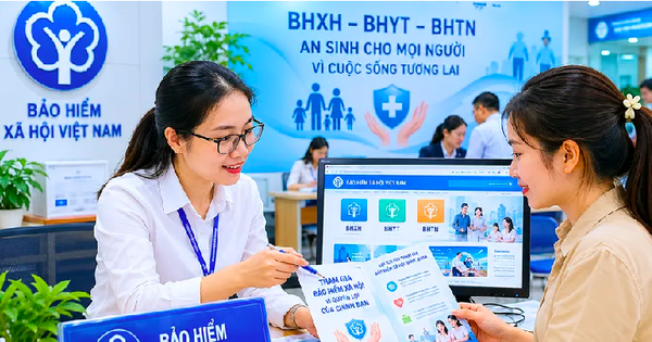 Trường hợp nào được đóng bù BHXH để đủ điều kiện hưởng lương hưu?