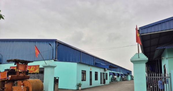 UBND tỉnh Hưng Yên chỉ đạo rà soát, xử lý toàn diện vụ việc liên quan Chi nhánh Công ty TNHH Giày Ngọc Hưng