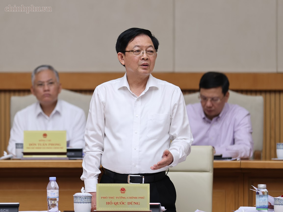 Phó Thủ tướng Chính phủ Hồ Quốc Dũng phát biểu. Ảnh: VGP