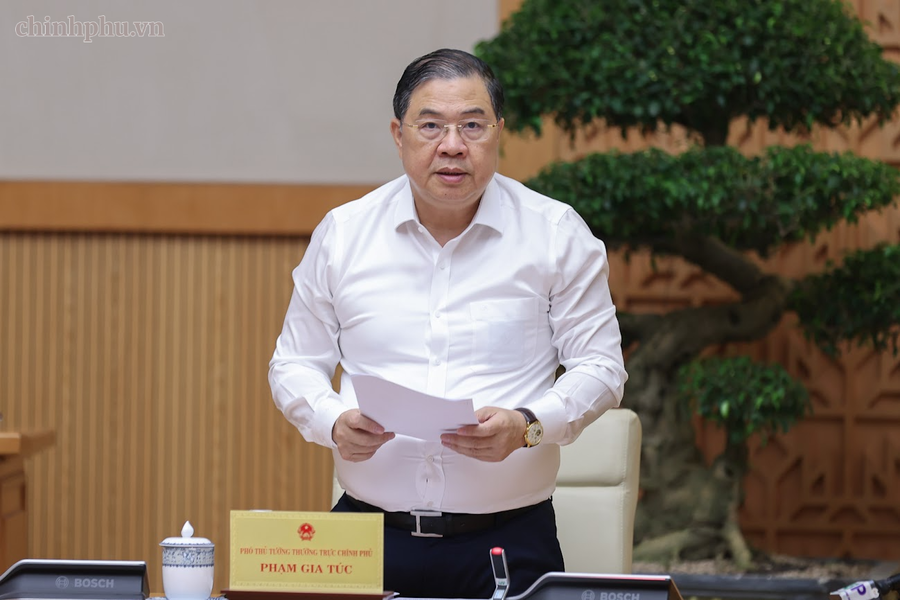 Phó Thủ tướng Thường trực Phạm Gia Túc phát biểu tại phiên họp. Ảnh: VGP