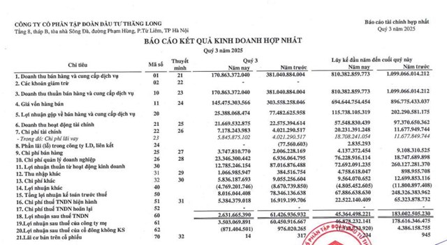 Tập đoàn Đầu tư Thăng Long (TIG): Cổ đông lớn bán ra 4 triệu cổ phiếu, lãi 9 tháng giảm mạnh - Ảnh 1