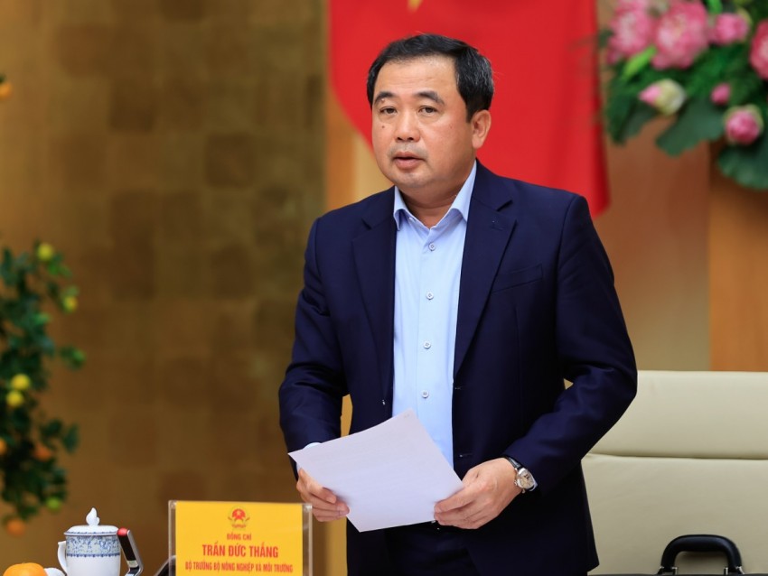 Thủ tướng yêu cầu vừa phát triển ngành thủy sản bền vững, vừa gỡ thẻ vàng IUU Thủ tướng yêu cầu vừa phát triển ngành thủy sản bền vững, vừa gỡ thẻ vàng IUU