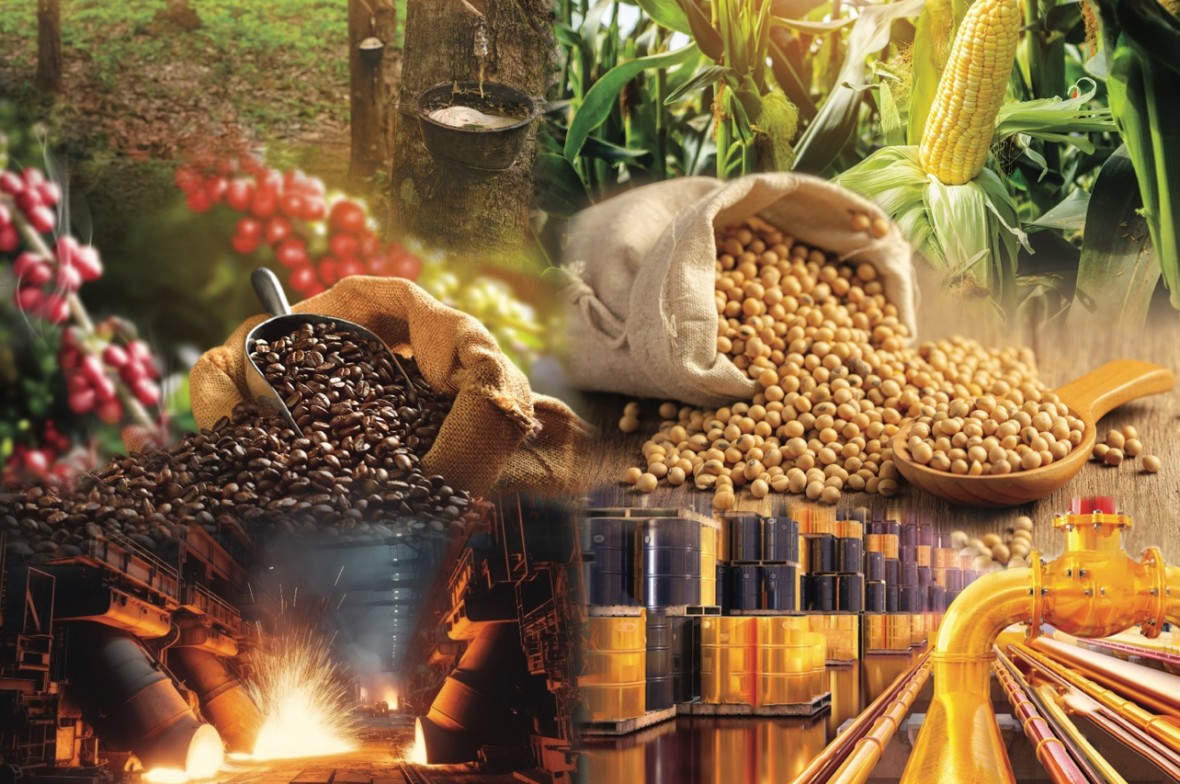 Xuất khẩu bền vững: Không thể duy trì tư duy một sản phẩm cho mọi thị trường