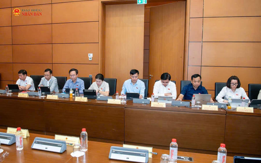 Các đại biểu thảo luận.