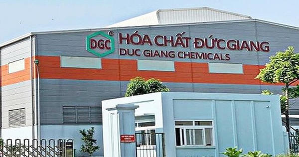 Hóa chất Đức Giang (DGC) xin chậm nộp báo cáo kiểm toán 2025, chuẩn bị họp đại hội cổ đông bất thường