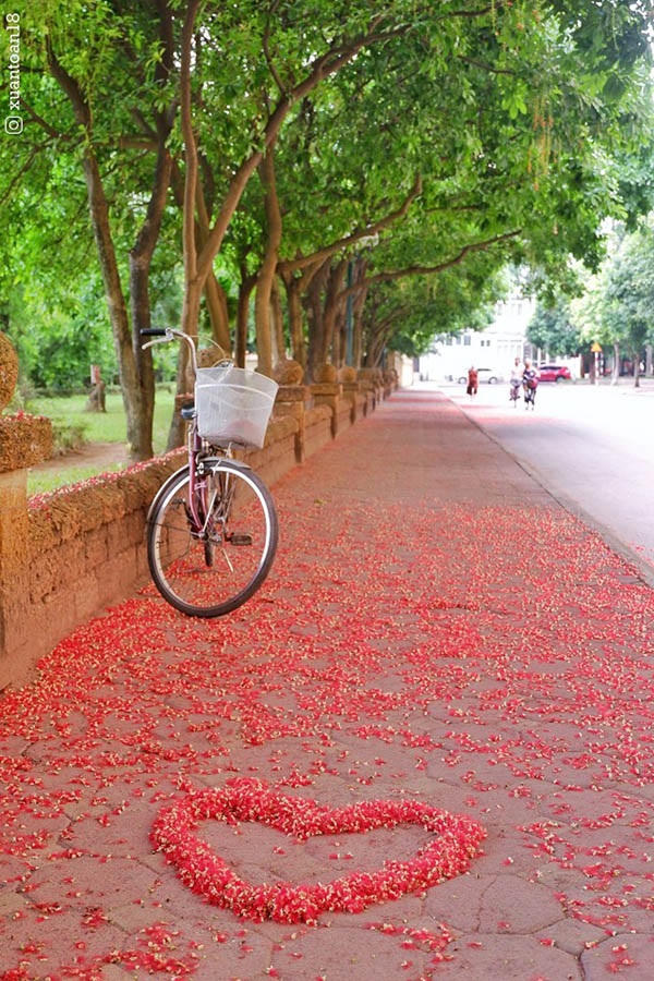 Người lạ từng thương...
