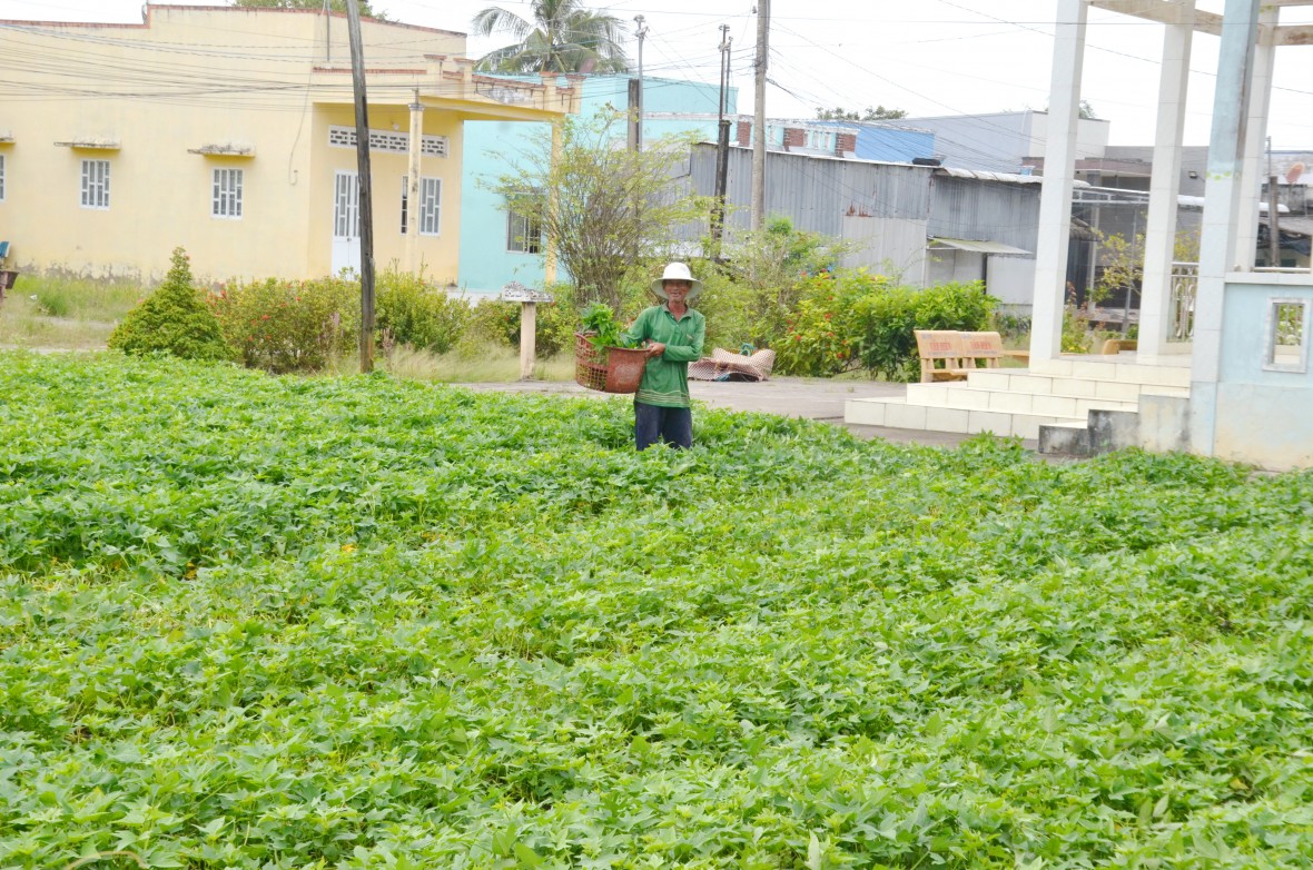 Cà Mau: Hưng Hội nỗ lực vượt khó, tạo nền tảng phát triển bền vững giai đoạn mới