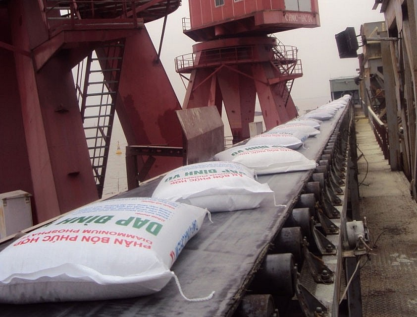 Giá phân bón DAP trong nước vẫn chưa thể hạ nhiệt do giá nguyên liệu đầu vào vẫn tăng cao