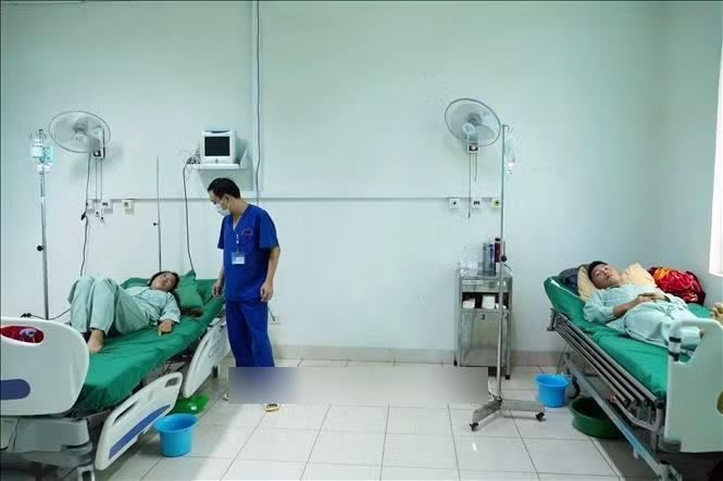 Sức khỏe của 4 bệnh nhân bị ngộ độc do ăn nấm lạ đã dần ổn định. (Ảnh: TTXVN).