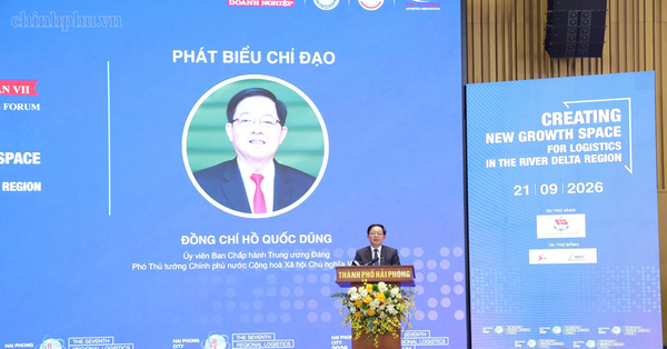 Phó Thủ tướng Hồ Quốc Dũng: Kiến tạo không gian phát triển mới cho logistics Vùng đồng bằng sông Hồng