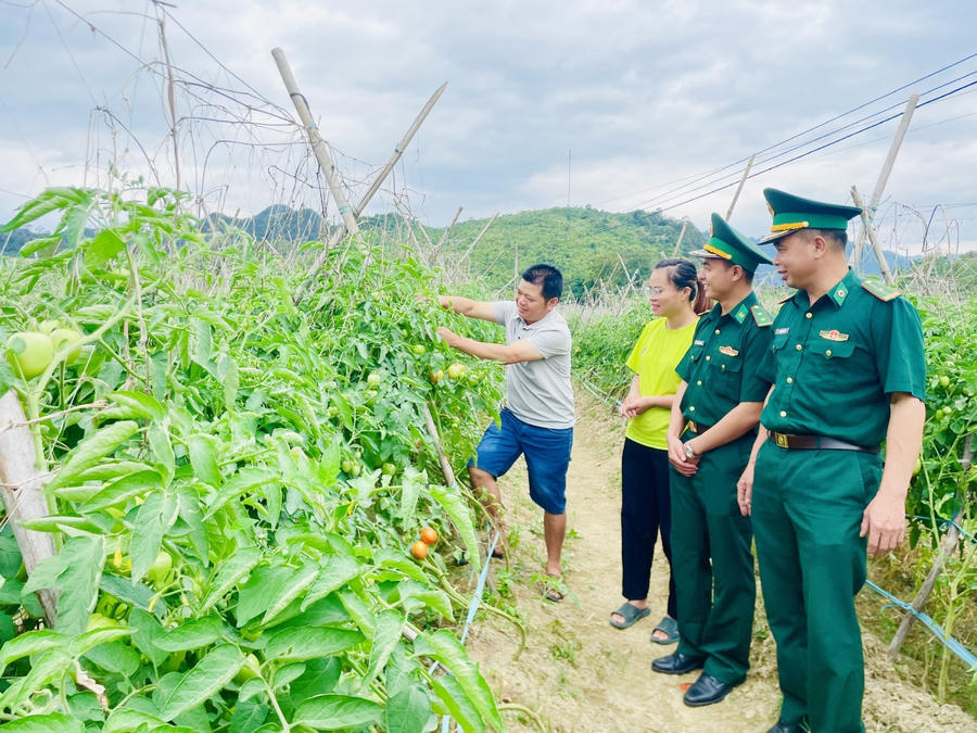 Đồn Biên phòng Tùng Vài và Hội Liên hiệp xã Tùng Vài hướng dẫn hội viên sử dụng các tiện ích trên Cổng dịch vụ công quốc gia. Ảnh: Hoàng Chính