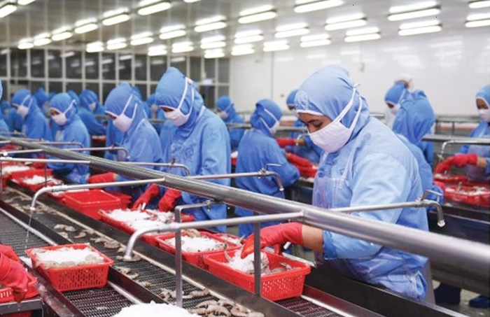 Xuất khẩu tôm trong 4 tháng đầu năm tăng kỷ lục