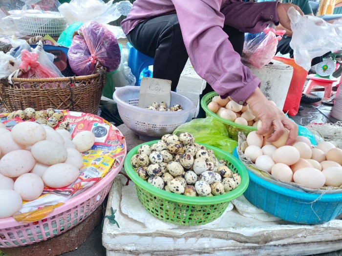 Giá trứng tăng mạnh, do thiếu cung và giá thức ăn chăn nuôi tăng phi mã