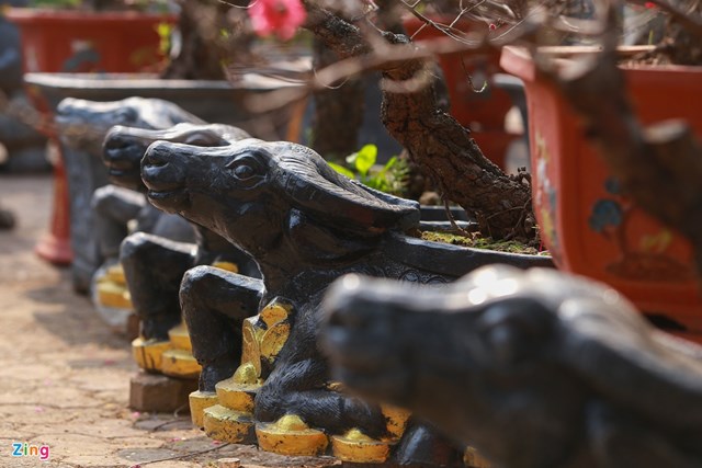 Những gốc b&iacute;ch đ&agrave;o cổ đựng trong chậu h&igrave;nh con tr&acirc;u &ocirc;m tiền v&agrave;ng được b&agrave;y b&aacute;n dọc đường Lạc Long Qu&acirc;n (quận T&acirc;y Hồ) l&agrave; sản phẩm đắt h&agrave;ng trong năm nay của anh Phạm Văn Qu&acirc;n, chủ vườn ở phường Ph&uacute; Thượng (quận T&acirc;y Hồ).