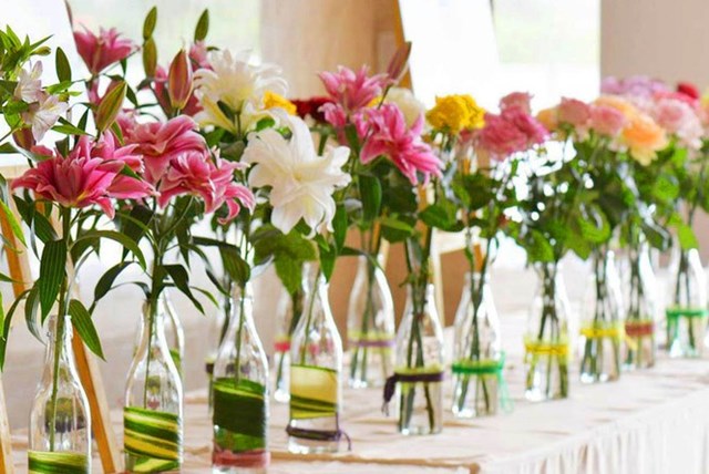 Rosely được trồng th&agrave;nh c&ocirc;ng tại Dalat Hasfarm.