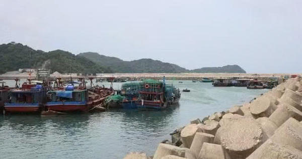Quảng Ninh tạm ngừng cấp phép tàu hoạt động trên biển từ 7 giờ ngày 22/8