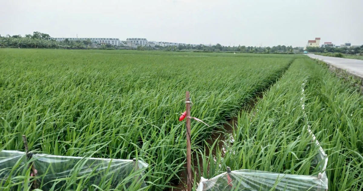 Bị khởi tố tội 