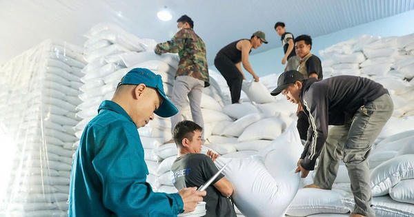 Hà Nội: Hỗ trợ hơn 65 tấn gạo cho học sinh Trường Phổ thông Dân tộc nội trú