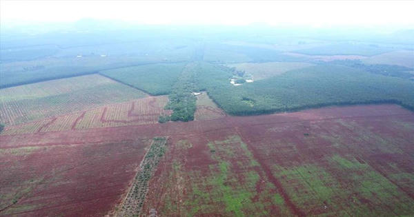 Đồng Nai ban hành kế hoạch đấu giá quyền sử dụng đất năm 2026, tập trung nhiều khu đất tạo nguồn thu ngân sách