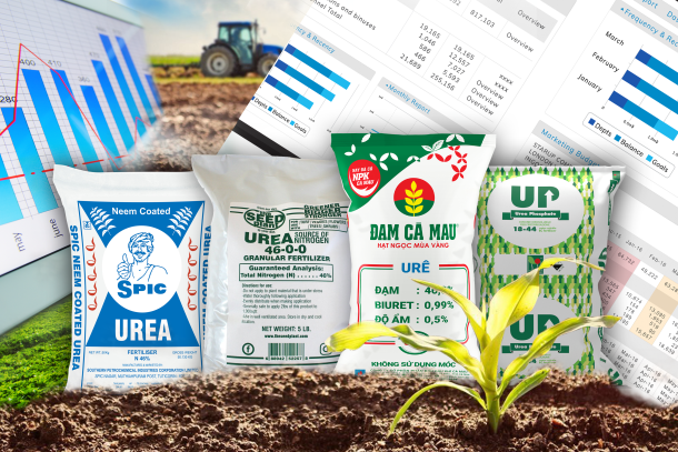 Giá phân bón tăng khiến nhiều nông dân giảm sản xuất