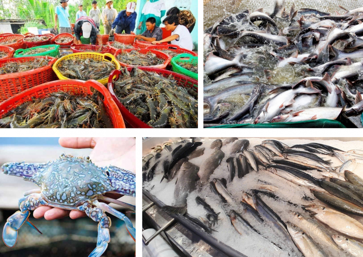 Ngành tôm tiếp tục là trụ cột lớn nhất trong bức tranh về xuất khẩu thuỷ sản Ngành tôm tiếp tục là trụ cột lớn nhất trong bức tranh về xuất khẩu thuỷ sản