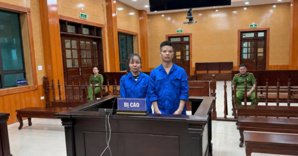 Thuê nhà tổ chức hoạt động mại dâm, hai bị cáo lĩnh tổng cộng hơn 19 năm tù