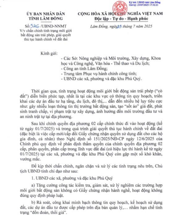 Lâm Đồng chấn chỉnh tình trạng gây nhiễu loạn thị trường, tạo 'sốt ảo' giá đất - Ảnh 1