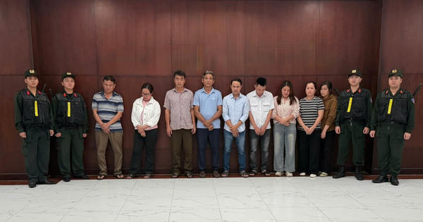 Khởi tố 9 bị can trong đường dây heo chất cấm quy mô hàng trăm tỉ đồng