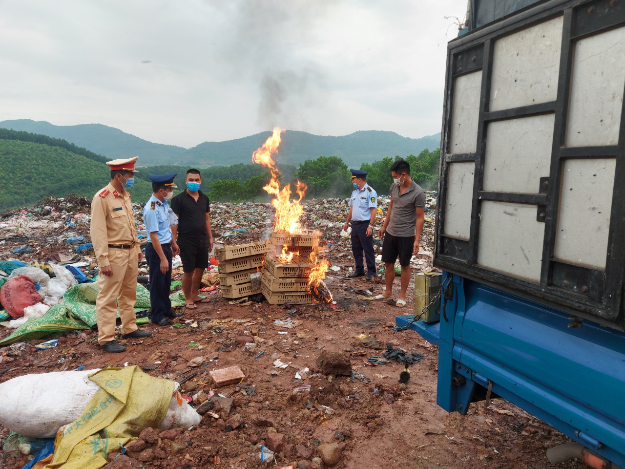 Tiêu hủy 1360 con gia cầm giống không rõ nguồn gốc xuất xứ