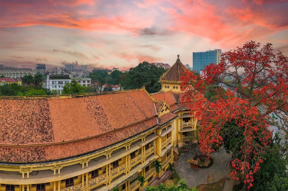 Bảo tàng Lịch sử Quốc gia (số 1, Tràng Tiền, Hà Nội) trong ánh hoàng hôn vào mùa tháng 3 hoa gạo nở. (Ảnh: Hồ Tùng Phương)