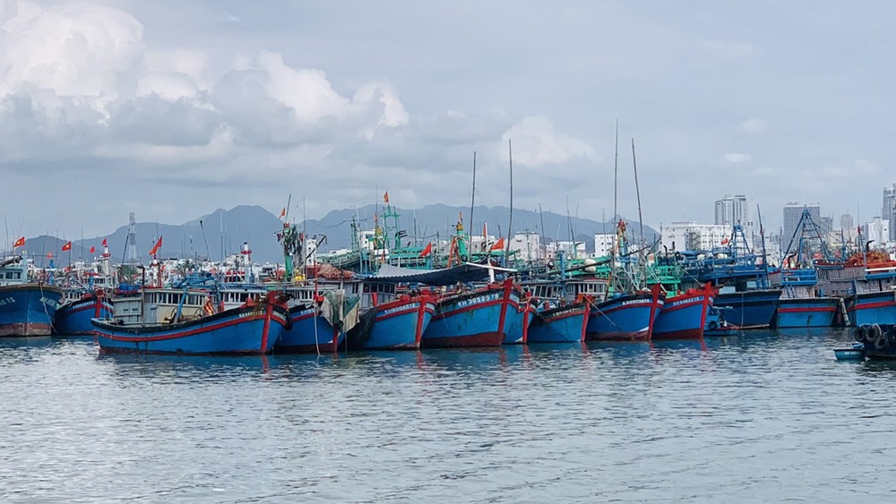 Chính phủ về việc tập trung chuẩn bị làm việc với Đoàn Thanh tra của Ủy ban Châu Âu lần thứ 5, quyết tâm gỡ cảnh báo “thẻ vàng” đối với thủy sản Việt Nam. Chính phủ về việc tập trung chuẩn bị làm việc với Đoàn Thanh tra của Ủy ban Châu Âu lần thứ 5, quyết tâm gỡ cảnh báo “thẻ vàng” đối với thủy sản Việt Nam.