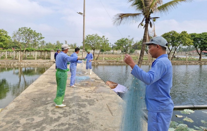 Các học viên đánh cá chuẩn bị đón tết. Các học viên đánh cá chuẩn bị đón tết.